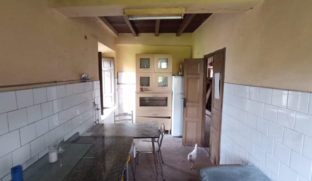 13 Revilla Camargo