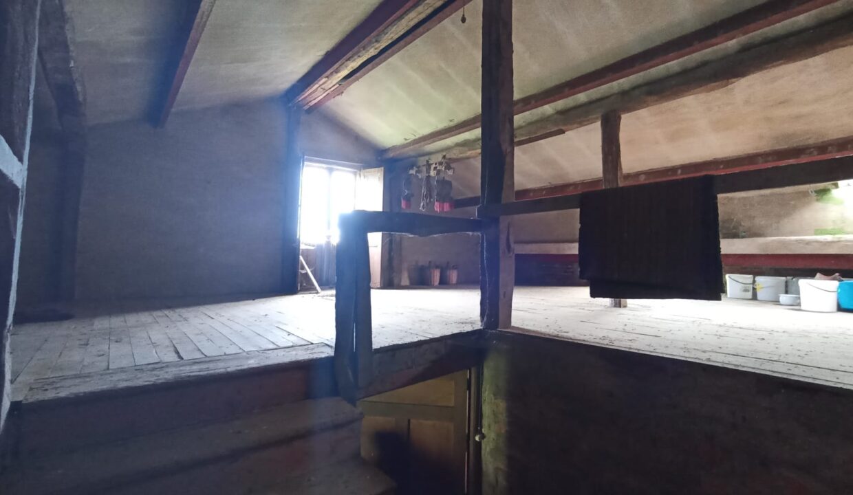 20 Revilla Camargo