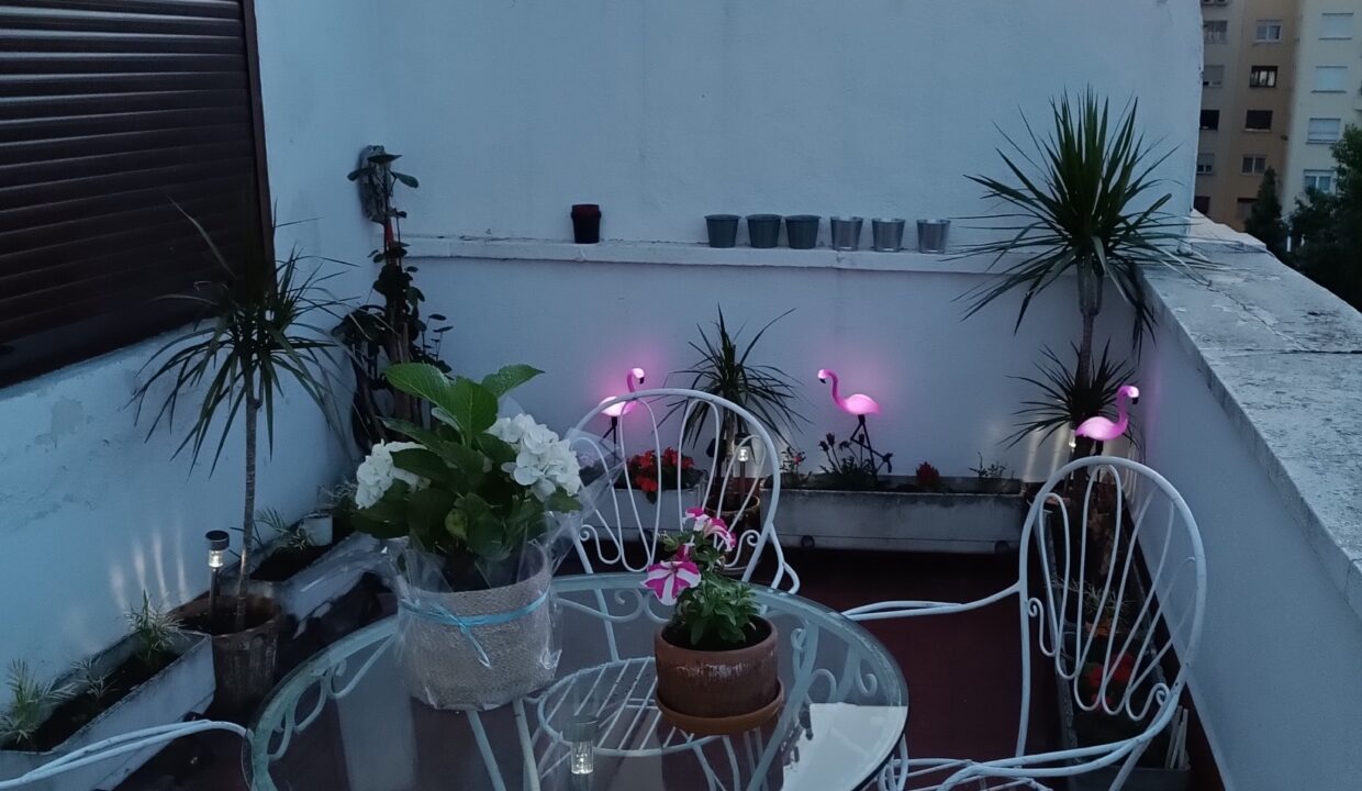 1.6 terraza
